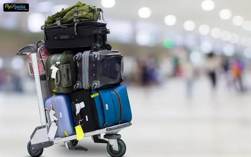VBag™ - Collecte et Livraison de Bagages